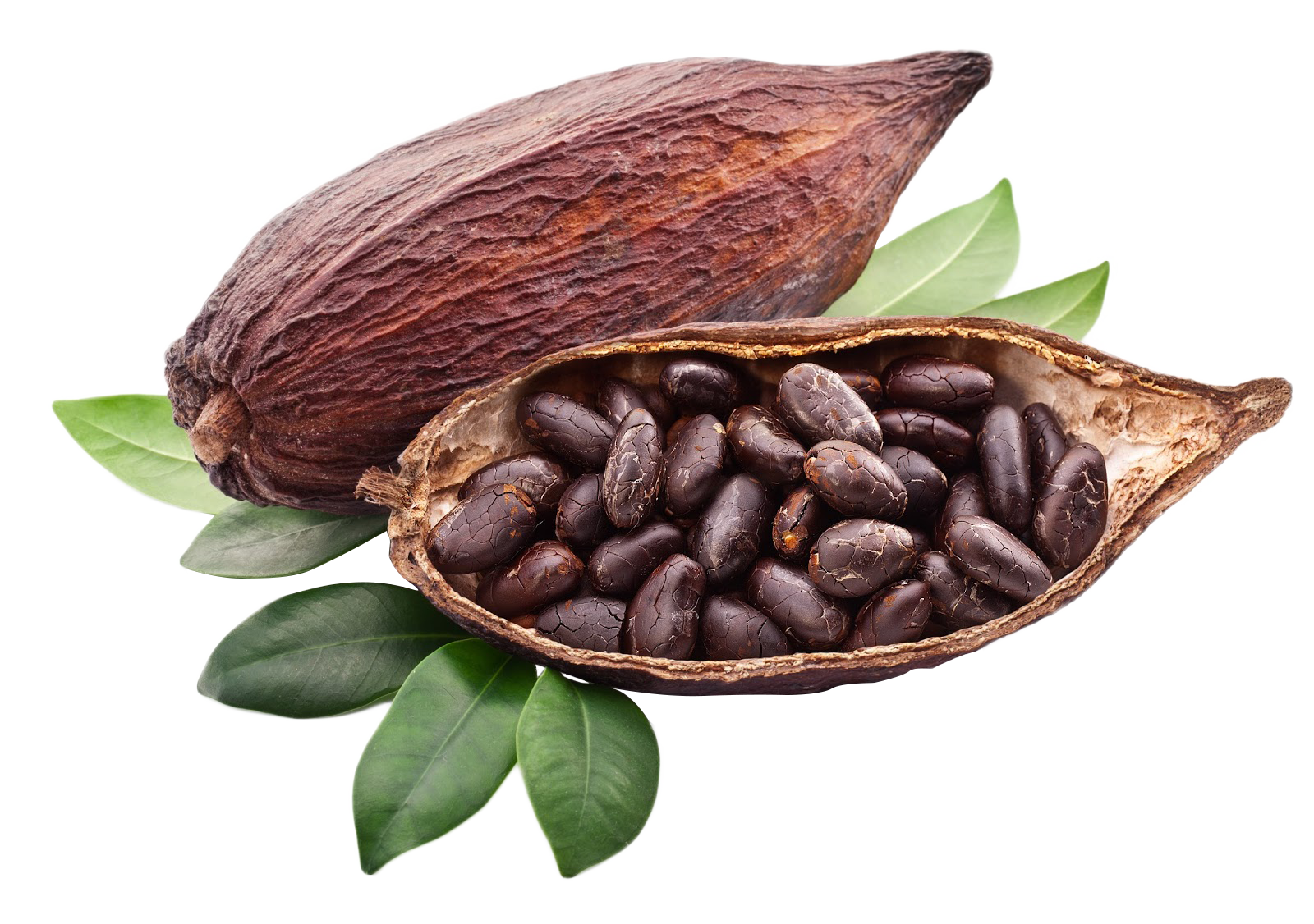 ingredient_cocoa